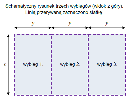 Schemat trzech prostokątnych wybiegów o wymiarach x i y